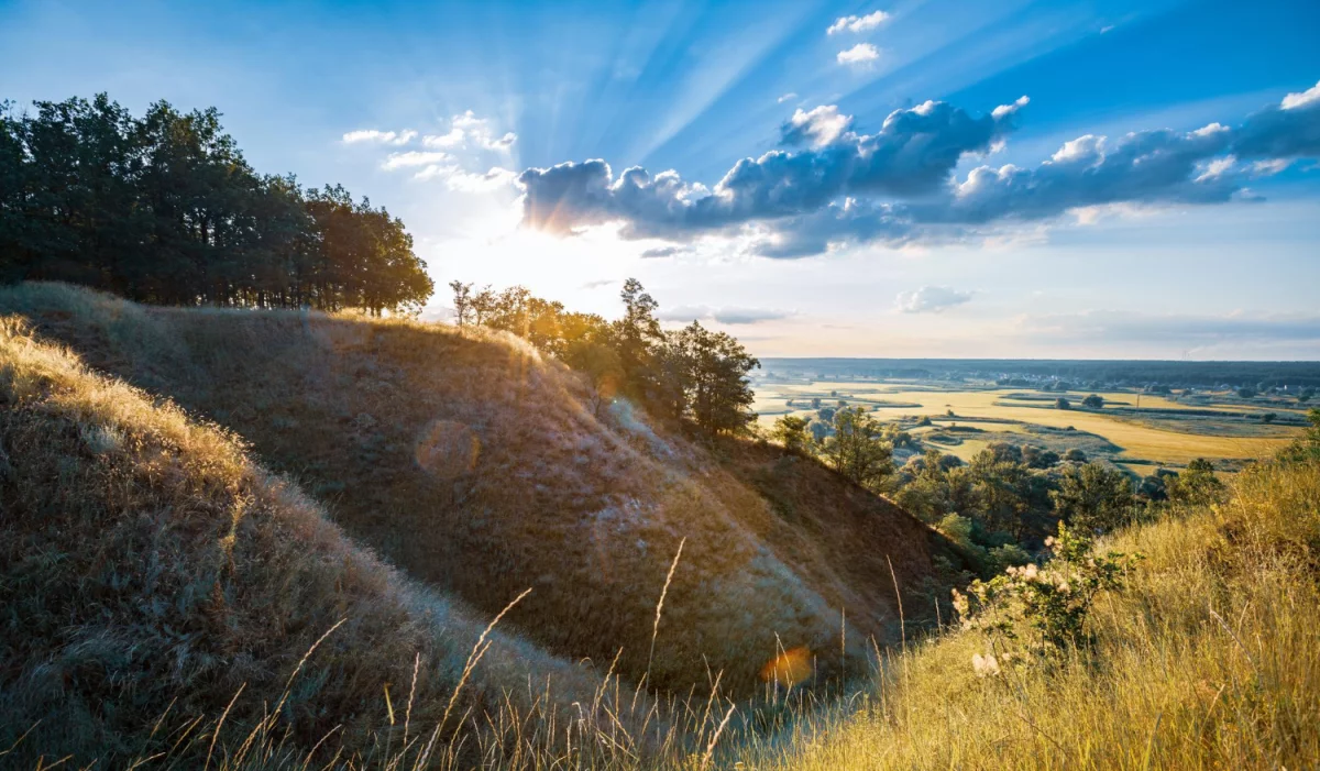 Czy ktoś może mi pomóc wykonać odbiór elektroodpadów w Białymstoku?