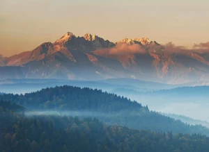 wykonać odbiór elektroodpadów w Białymstoku? Nie?