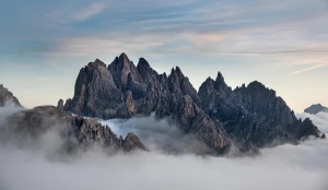  budować altanki w 2025?