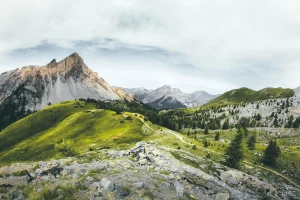 Przeczytaj ten wpis a dowiesz się jak opublikować artykuł