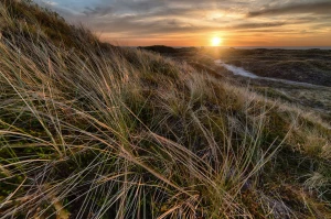 Bez tego nie byłoby prądu