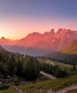 opublikować artykuły? Tak czy nie?